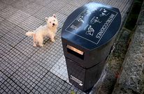 Lal�n cuenta con alg�n dispensario de bolsas para heces de perros, cuyo uso es solo voluntario.
