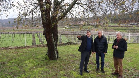 La bodega continú su expasión gracias a una ayuda de 73.000 euros