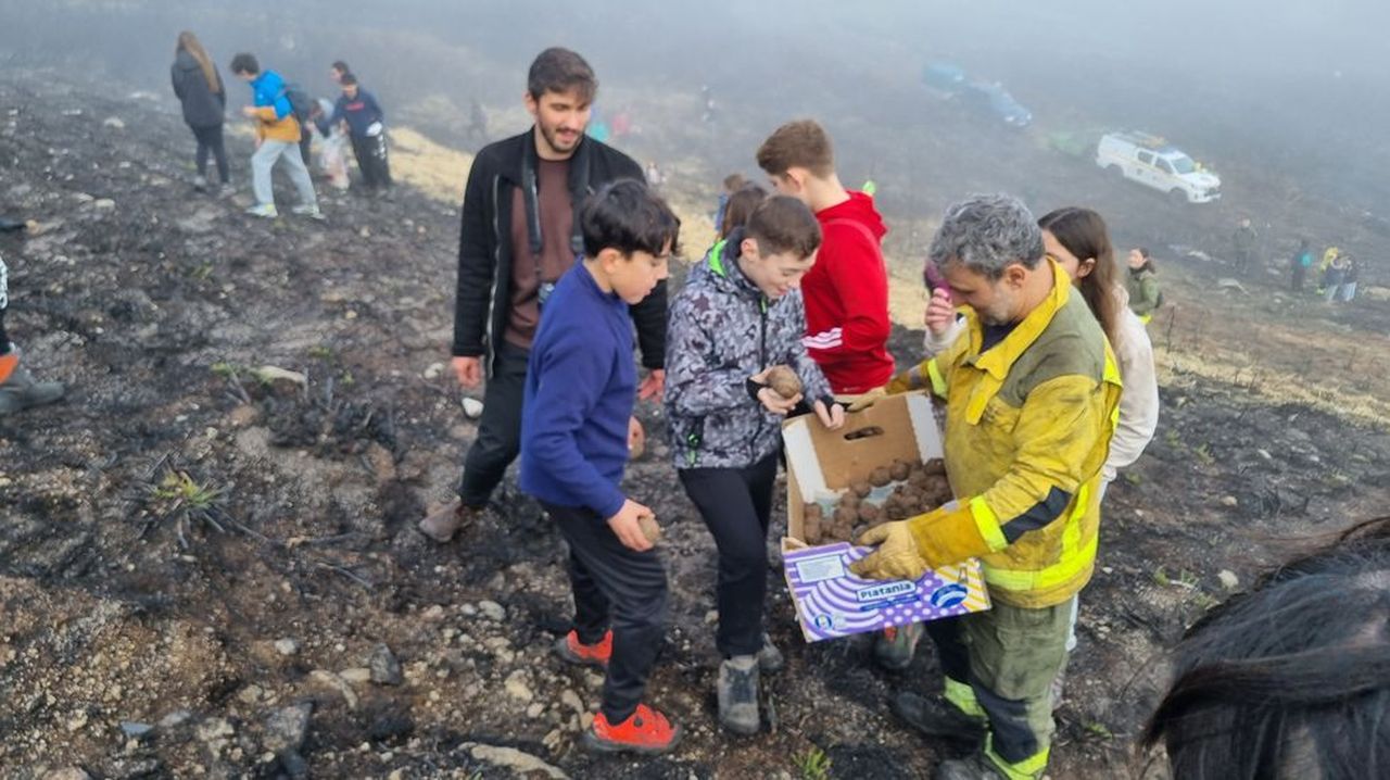 Escolares de Trives elaboran y colocan bombas de semillas para reforestar el monte quemado en Manzaneda