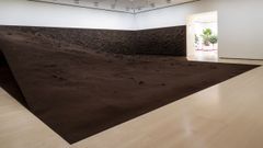 La obra Bruja de Delcy Morelos