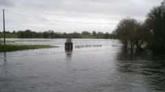 La crecida del r�o Mi�o en Castro de Rei y Cospeito, en im�genes
