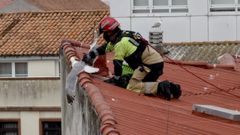Rescate de una gaviota atrapada en un edificio de Monte Alto, A Coru�a
