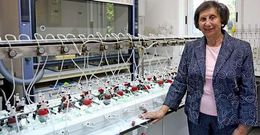Tarsy Carballas sigue trabajando como investigadora del CSIC a sus 78 a�os y sin cobrar.
