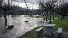 Las �ltimas crecidas del r�o afectaron gravemente a las riberas del Mi�o en Ourense.