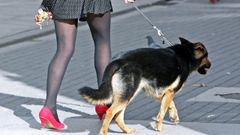 Una mujer pasea con su perro, en imagen de archivo