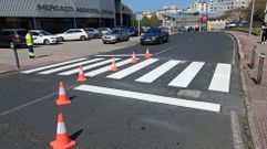 Trabajos de pintado de un paso de peatones en la avenida de Castelao, en Caranza.