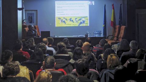 Al curso asistieron cincuenta veterinarios