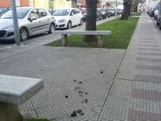 La plaza frente a la estaci�n de tren, en una imagen de ayer. 