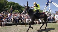 Todas las fotos de la carrera de burros de Escairn 2025