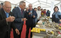 El alcalde de Castropol y autoridades degustaron ayer las ostras. 