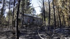 El antes y el ahora del monte de Rianxo tras el incendio de hace tres a�os