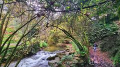 Paseo del r�o Lagares