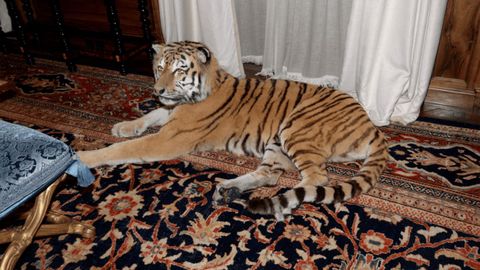 El interior de la vivienda de Epstein, en Manhattan
