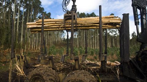 Trabajos forestales en un monte de Cedeira, en una fotografa de archivo