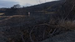 Zona calcinada en Cai�n por el incendio iniciado este lunes 