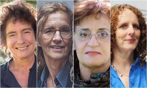 Jeanette Winterson, Delphine De Vigan, Dimitra Christodoulou�y Maggie O'Farrell.