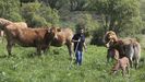 El ganadero cedeirs Ismael Durn, en uno de los pastizales donde alimenta a sus reses