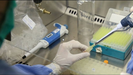 Laboratorio de investigacin en Pernambuco, Brasil, el pas ms afectado por el oropouche en estos momentos