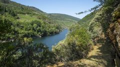 Un tramo de la ruta de senderismo de A Cubela, que discurre por la orilla del ro Sil