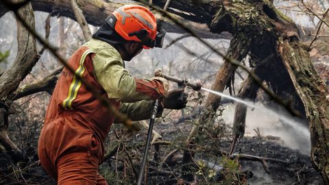 Bomberos de Asturias trabajan para extinguir las llamas en un incendio forestal