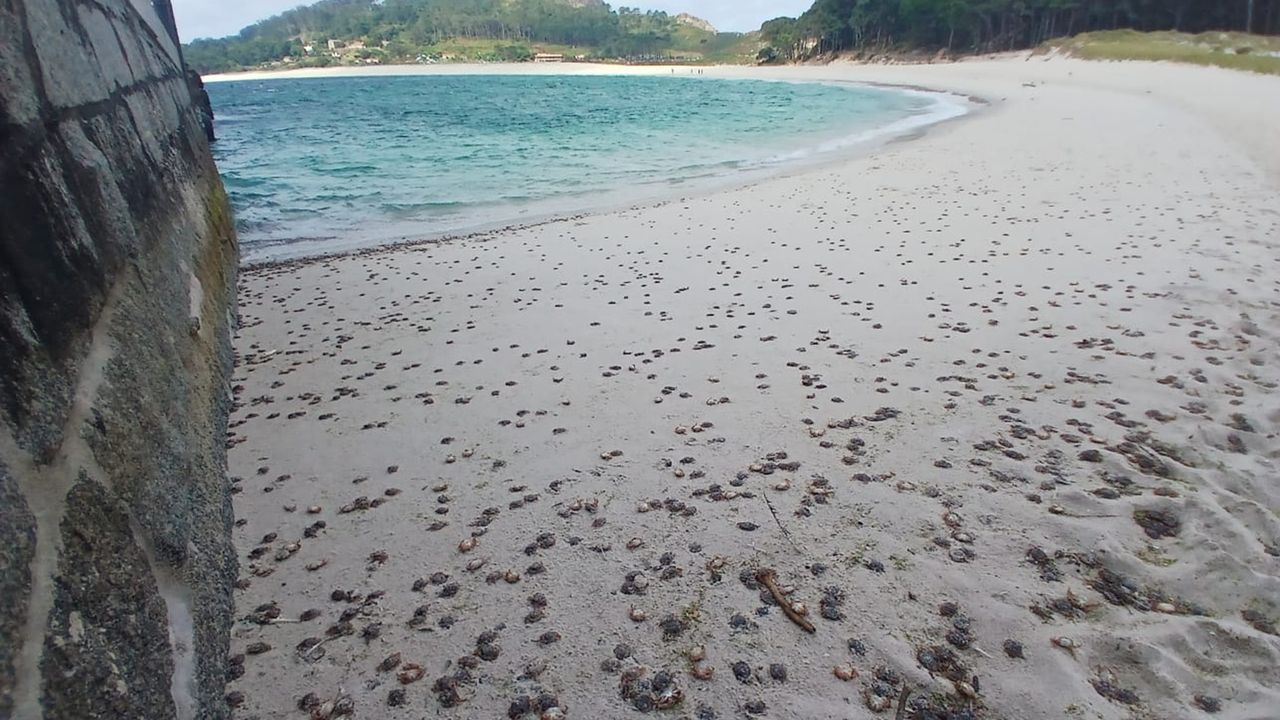 Olas de calor de aquí y de allá