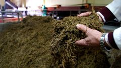 En este proyecto de investigaci�n se utilizaron 20 toneladas de bagazo de uva Albari�o