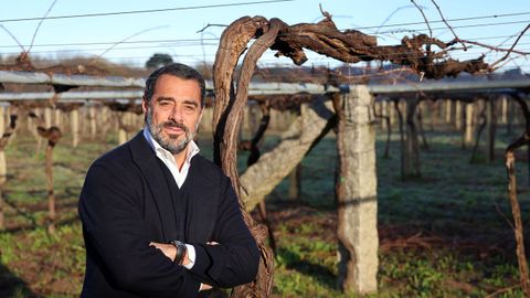 Vicente Cebri�n, en uno de sus v�edos de Pazo Barrantes, destaca las cualidades de la uva albari�o.