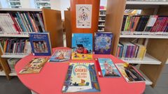 Os fondos da Biblioteca Municipal de Lugo ascenden a 46.265 unidades, entre libros e documentos audiovisuais