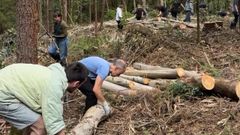 Alumnos de Yale colaboraron con los miembros de la comunidad de montes de Frox�n en la limpieza del monte