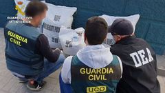 Agentes de la investigaci�n junto a los sacos con el pl�stico que escond�a la cocaina.