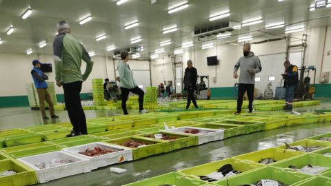 Venta en la lonja de Burela