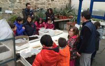 Alumnos de tercero de Primaria hicieron pr�cticas en la Granxa de Barreiros. 