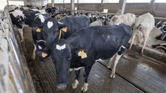 La Reserva Nacional de la PAC ha repartido m�s de nueve millones de euros