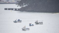 Embarcaciones este lunes en la r�a de Pontevedra