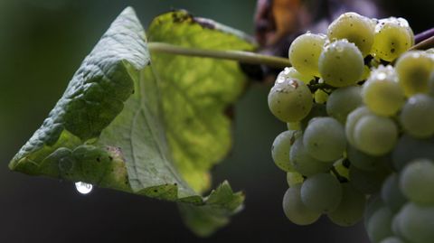 Lluvia en Ribadumia.