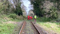Ca�da de �rboles sobre la v�a ferroviaria en Mugardos