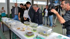 Una actividad en su d�a, a�o 2011, en el Aula de Pesca