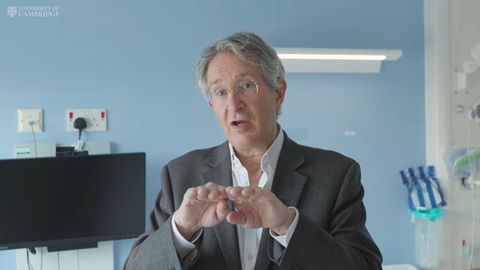 Jonathan Heeney, del Laboratorio de Zoonosis Virales del Departamento de Medicina Veterinaria de la Universidad de Cambridge, director cient�fico de la investigaci�n que ha permitido desarrollar una vacuna creada por IA frente a m�ltiples virus