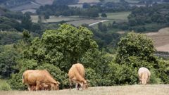 Las bonificaciones afectan a fincas de ncleo rural en las que no exista ningn tipo de construccin