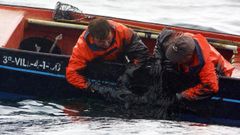 Los marineros de la ra de Arousa recogen el fuel con sus manos