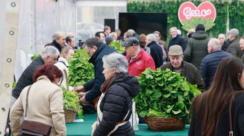 P�blico en la carpa de exposici�n venta de grelos.