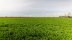 El conflicto de Oriente Medio ha subido el precio de los fertilizantes que utilizan campos como el de la foto