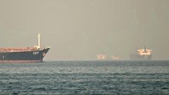 Un barco turco ha logrado pasar por el estrecho de Ormuz tras lograr el permiso de las autoridades iran�es, que mantienen bloqueado esa importante v�a de comunicaci�n mar�tima en respuesta a los ataques de EE. UU. e Israel, inform� este viernes el Ministerio de Transporte de Turqu�a.
