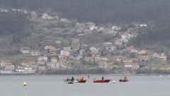 Barcos del marisqueo a flote en el primer da de trabajo del sector en el 2025