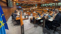 Un momento del debate en el Parlamento asturiano