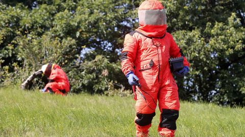 Trabajadores del Serpa eliminan nidos de avispa asi�tica con explosivos