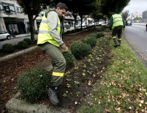 Operarios de Cespa realizando el mantenimiento del bulevar de la Gran Vía