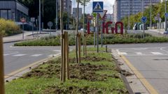 Los da�os del jabal� en la mediana de la Avenida de Madrid, este martes
