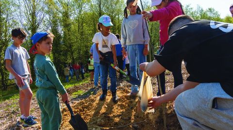 Plantaci&oacute;n de &aacute;rboles para un parque micol&oacute;gico en Nantes, en Sanxenxo