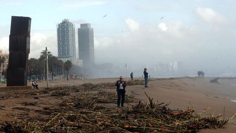 Varios curiosos se acercaron a la playa barcelonesa para sacar fotografas del arenal tras el azote de la borrasca Gloria.